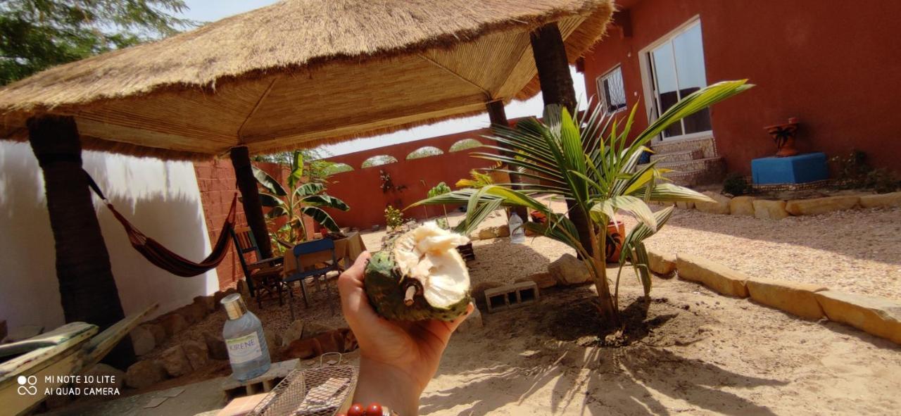 Zion - Lily'S Paradise Toubab Dialaw Esterno foto